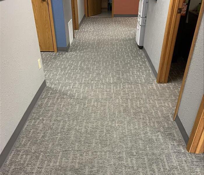 Commercial carpets after cleaning