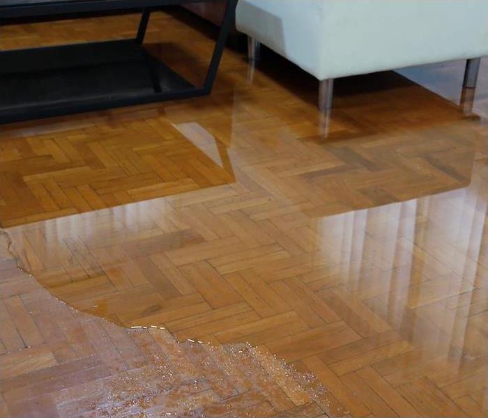 Pool of water sitting on top of a herringbone patterned wood floor with furniture nearby